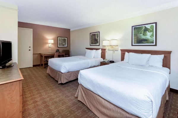 La Quinta Inn & Suites by Wyndham San Antonio I-35 N At Rittiman image 11