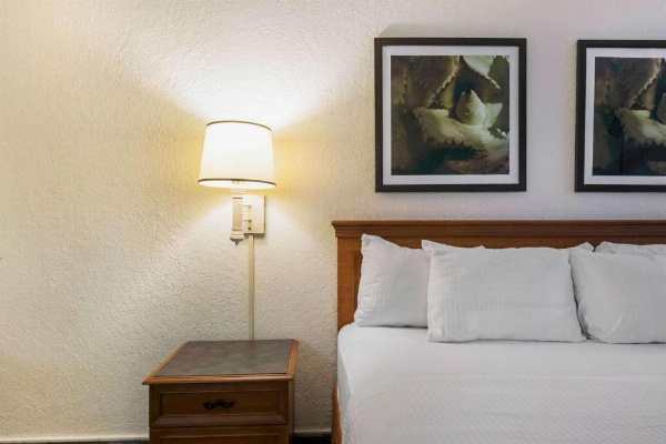 La Quinta Inn & Suites by Wyndham San Antonio I-35 N At Rittiman image 19